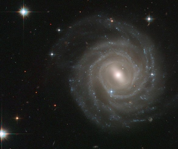 Question Image